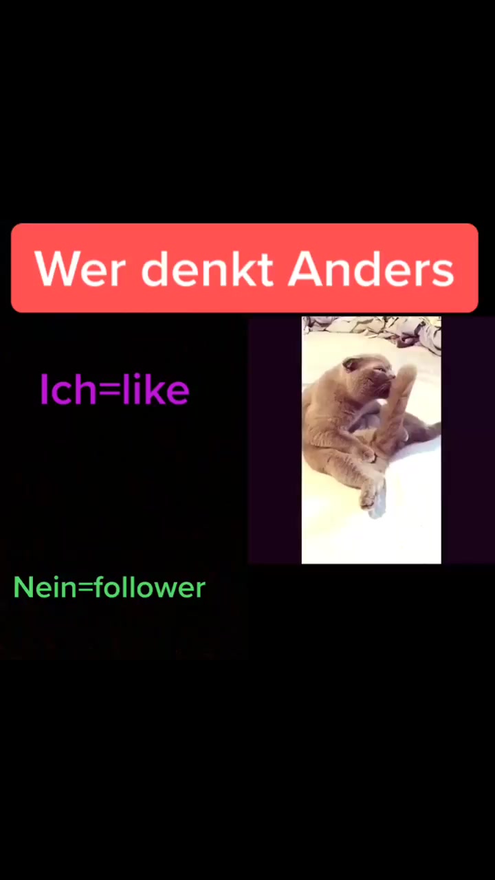 @Mero 428