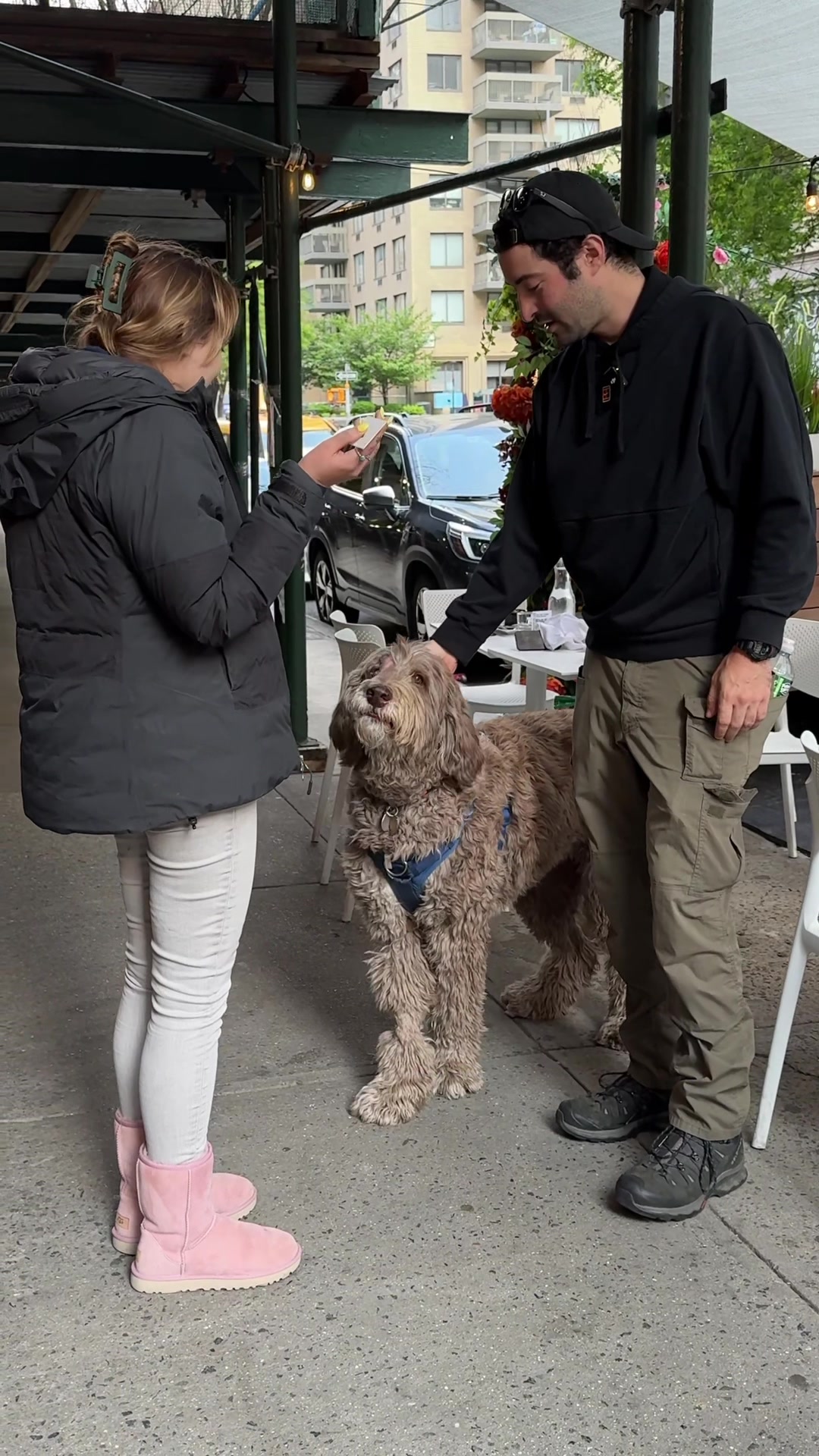 @The Dogist