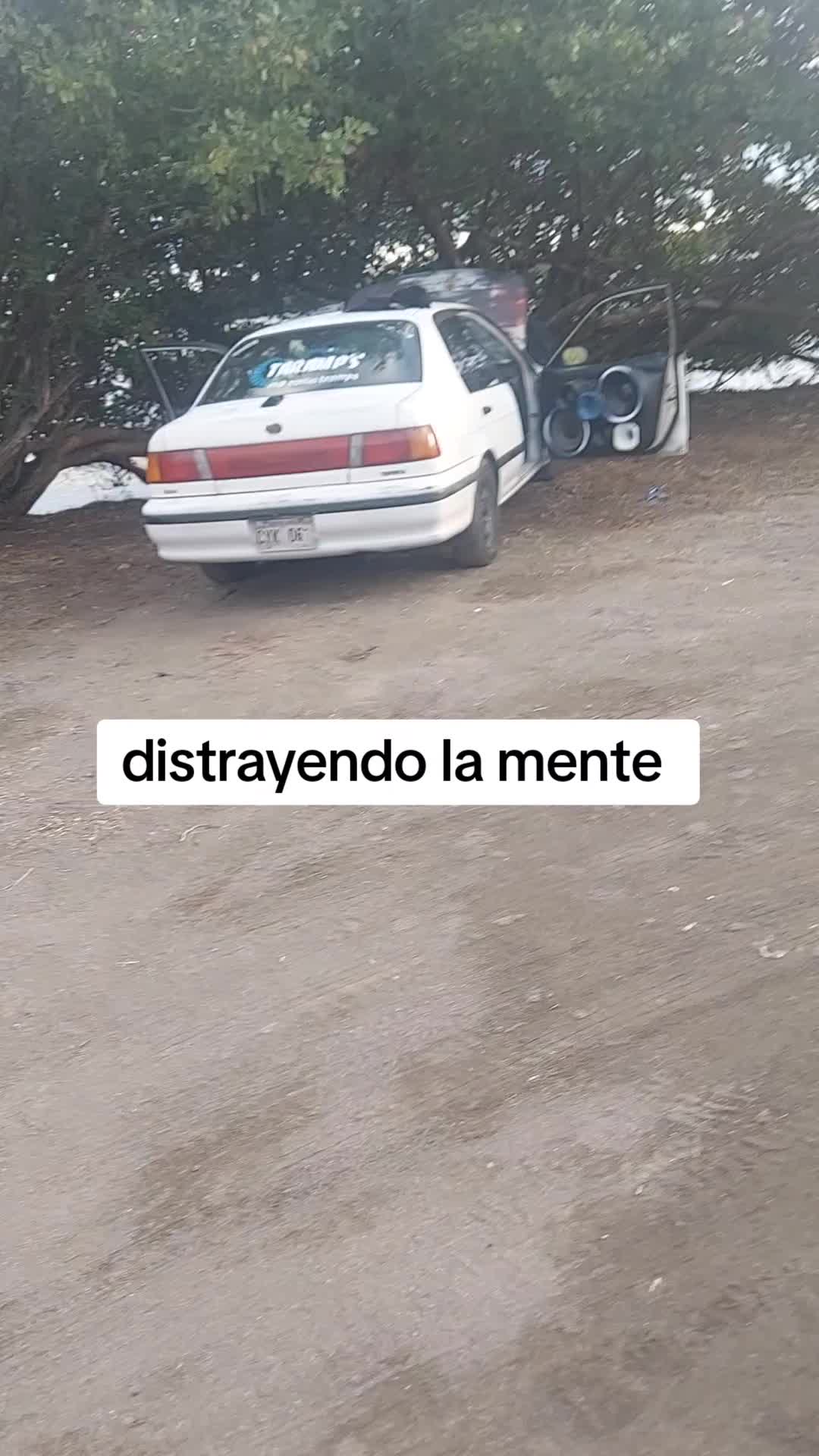 @leinel236