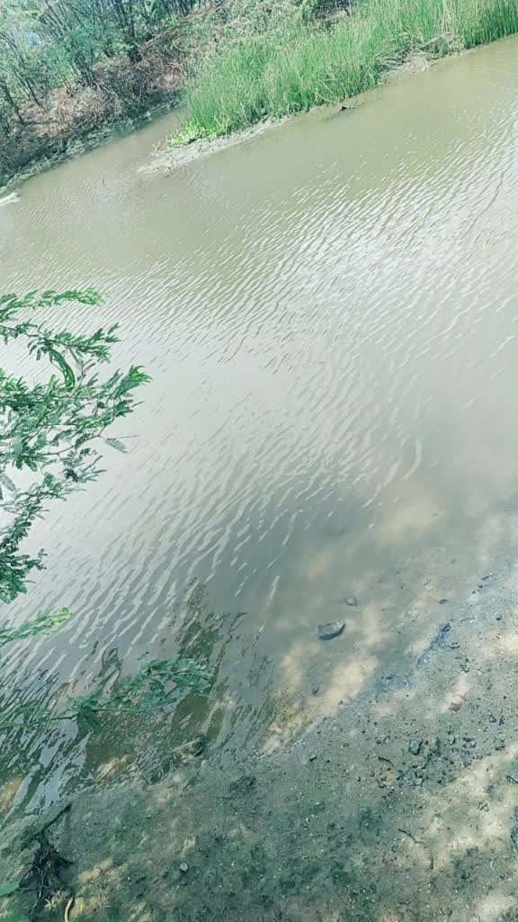 @selva prathap