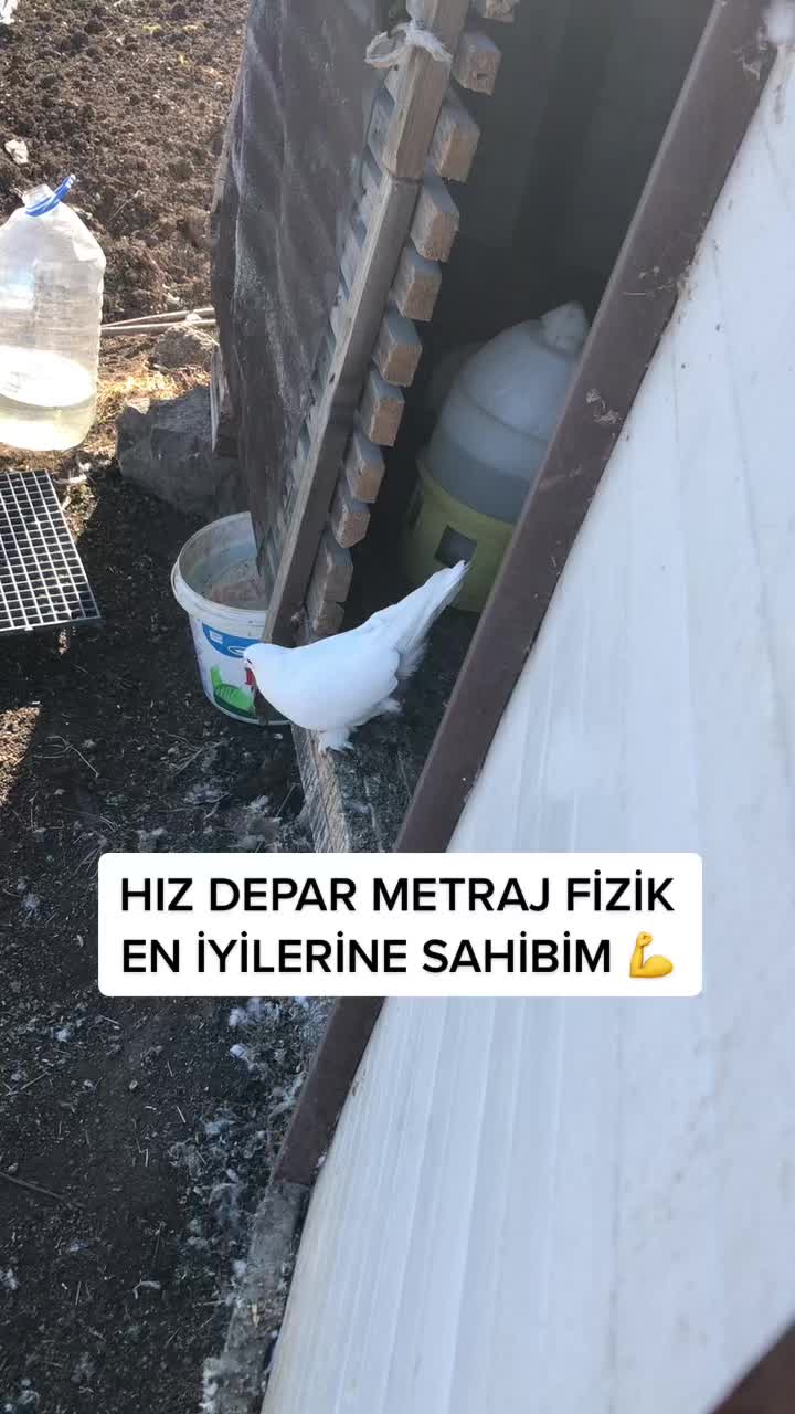 @6ertan1