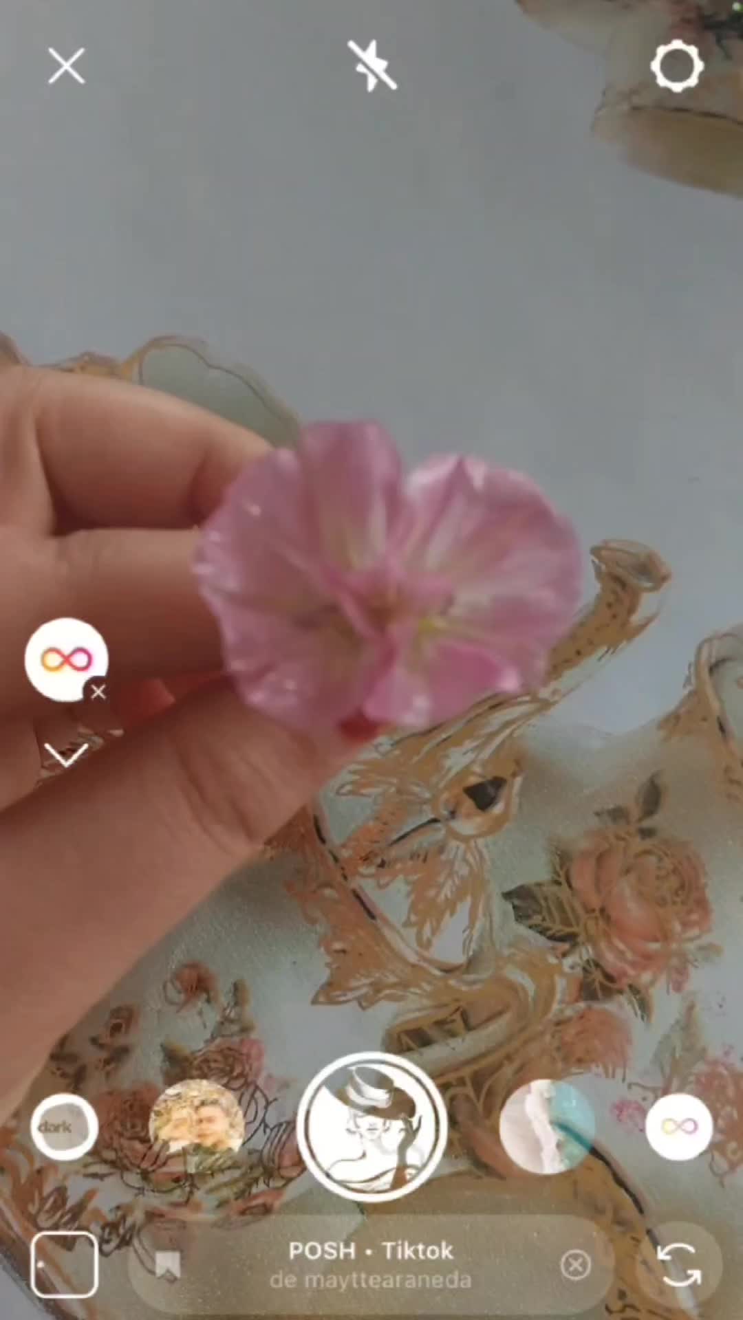 @꧕&Omicron;ϙϙ&upsilon;&omega;&iota;ϻ🌿🦢