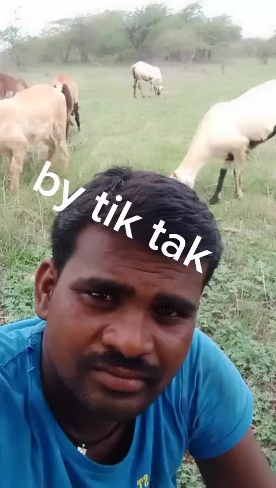 @user56755181153