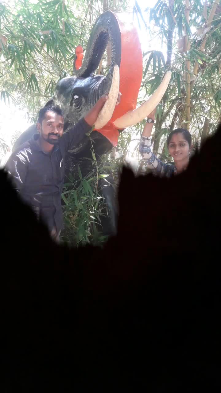 @Anusree Deepak