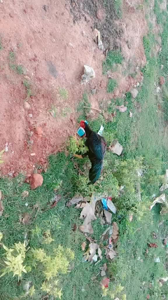@archana archu 1234
