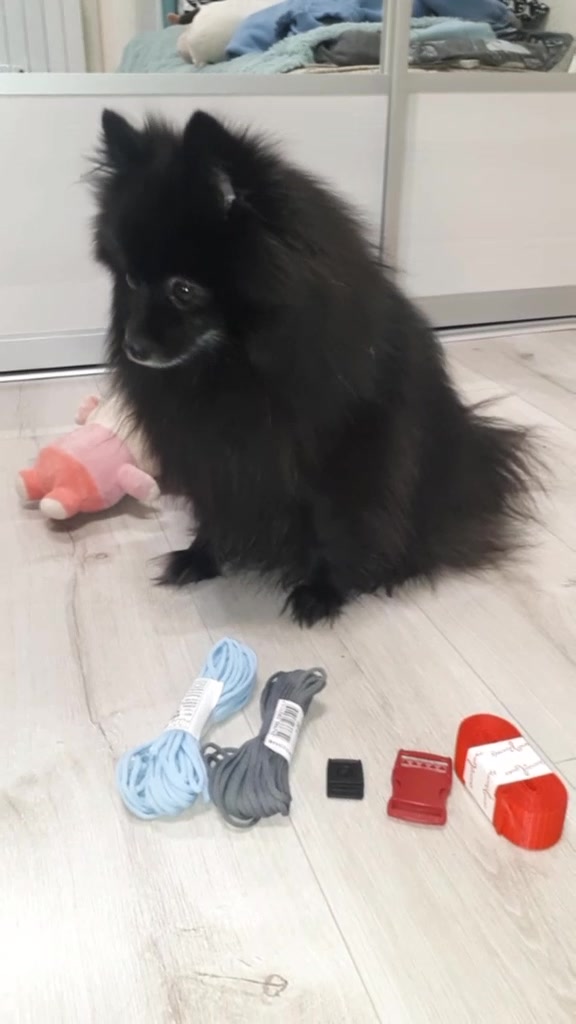 @dog_chip