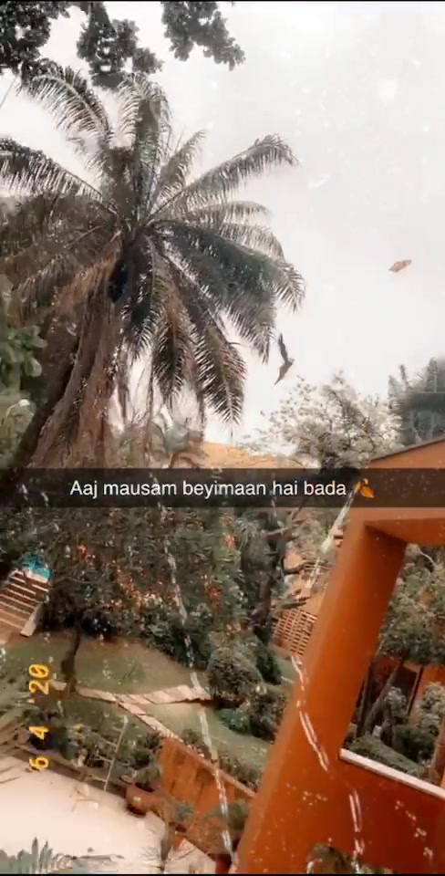 @Shiwani kaul🧿