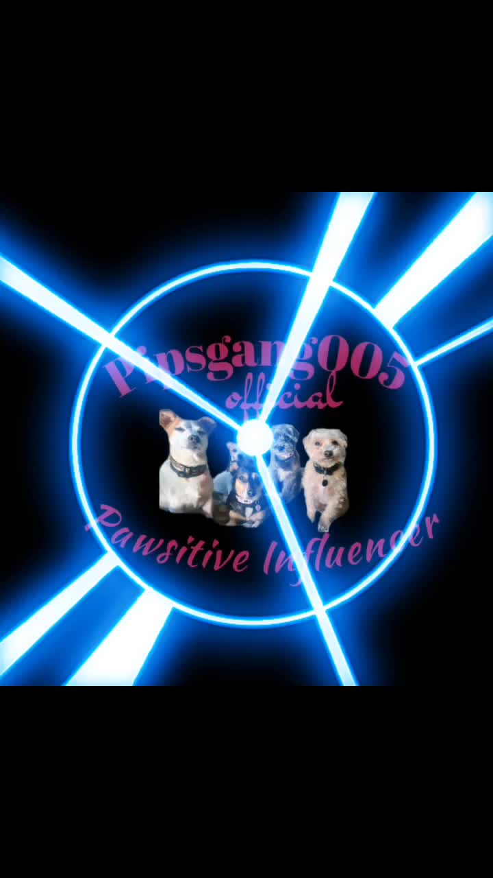 @pipsgang005