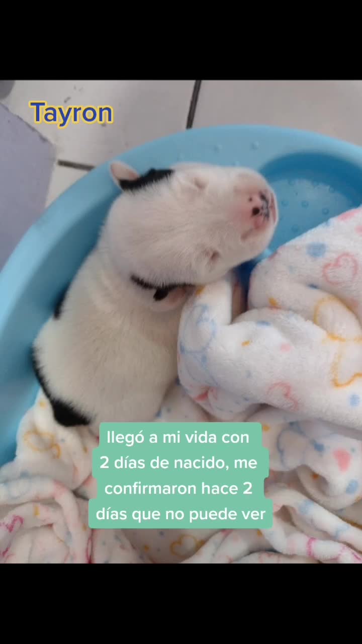 @CasaSAJ