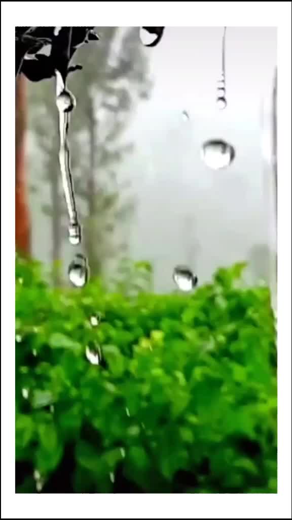 @yadav_gari_ammai💙