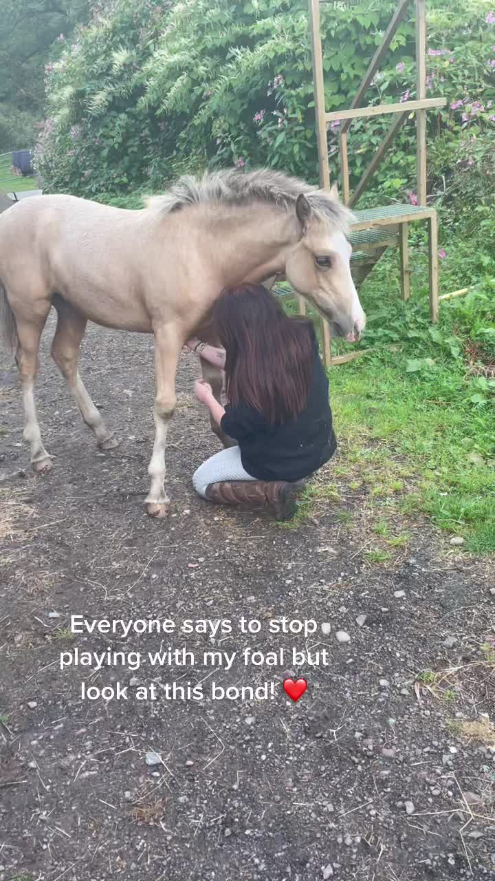 @S