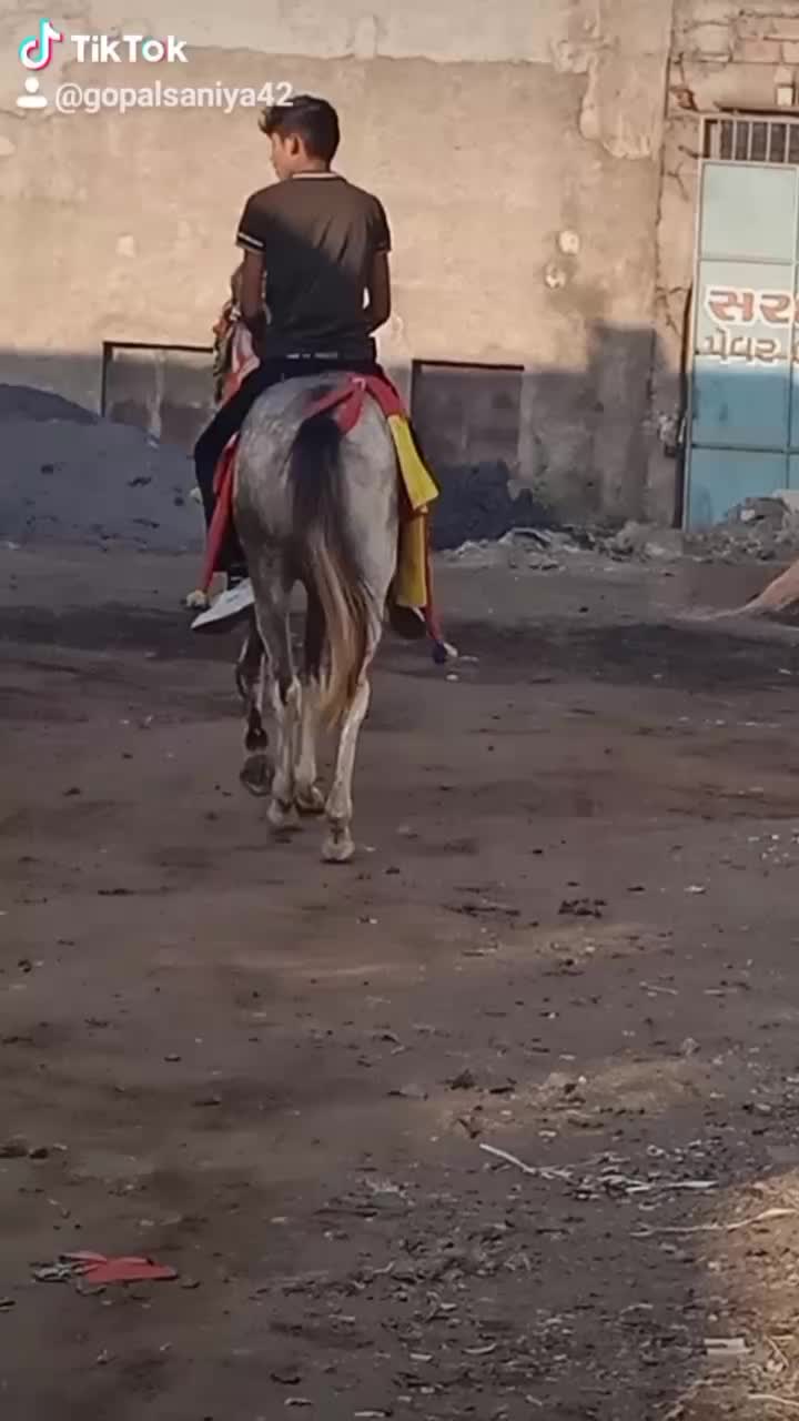 @gopal saniya