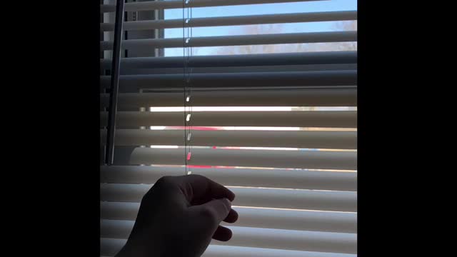 @ⒶⒺⓈⓉⒽⒺⓉⒾⒸⓈ🌺🌺