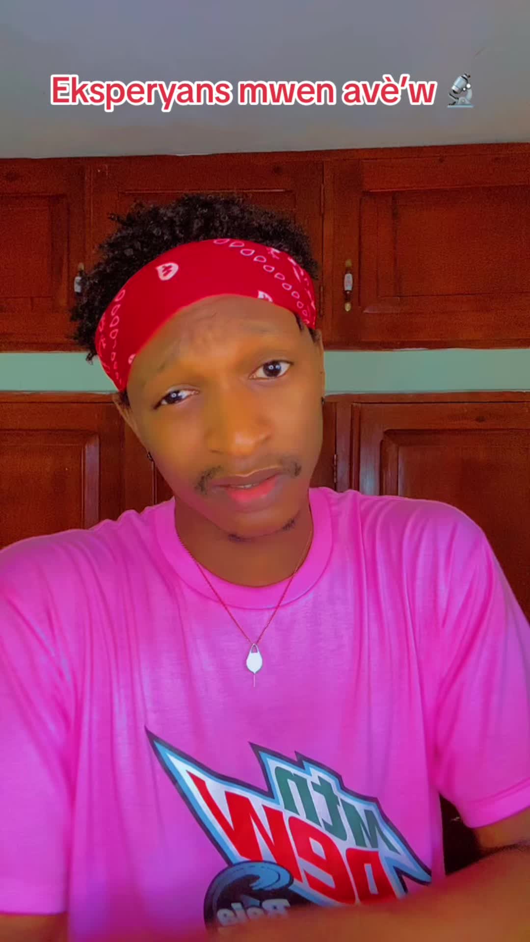 @schnai_level_mickey