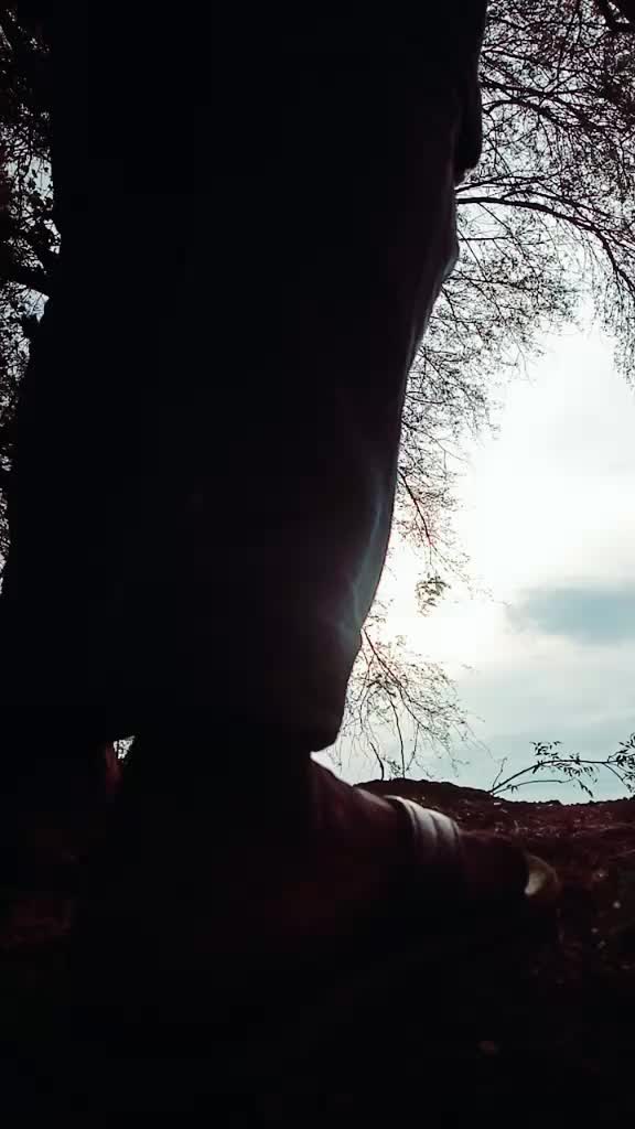 @user462332