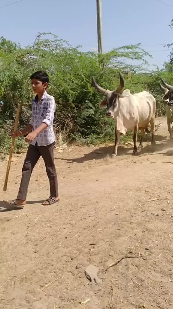 @😎H.k Rabari😎