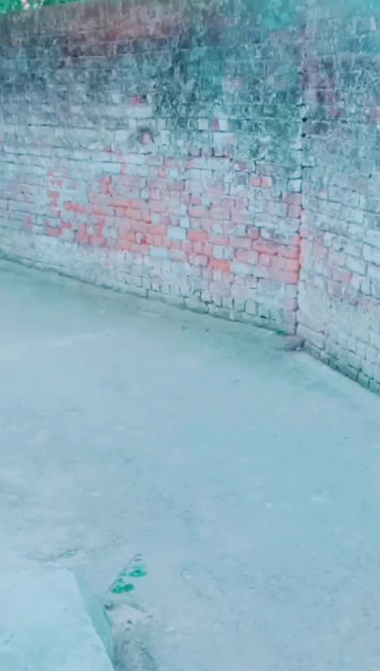 @bhai bhai 302