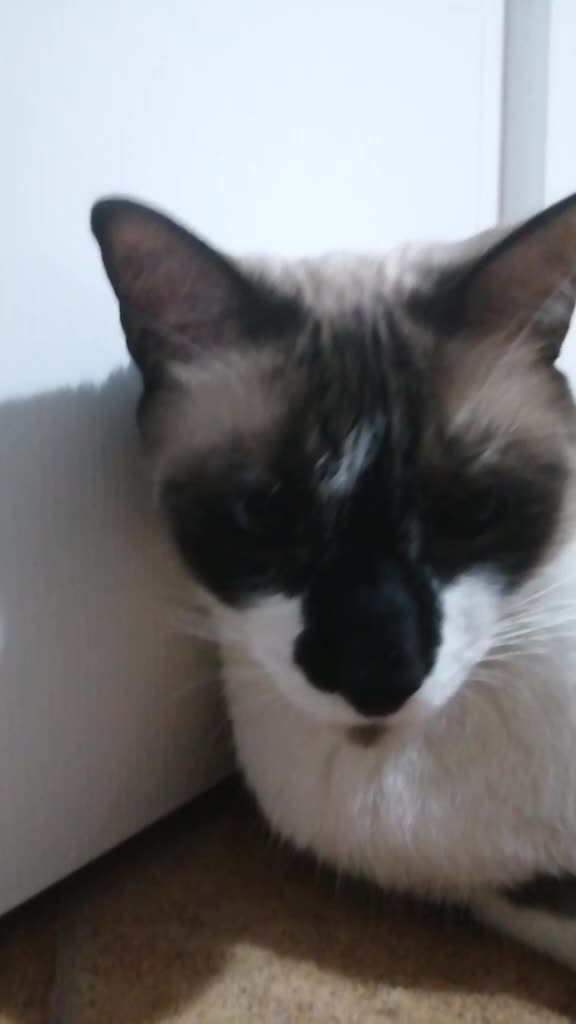 @MelissaFinocchiaro17 ๐๏ธ๐ฆ