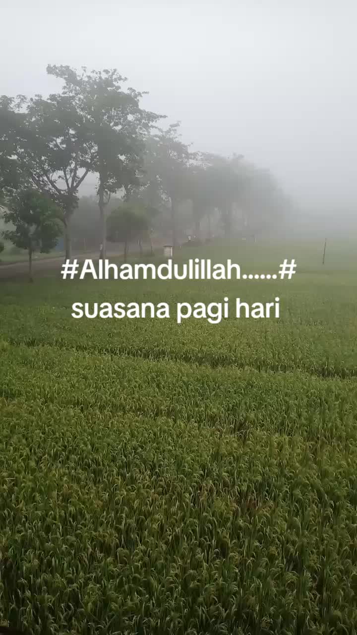 @SY