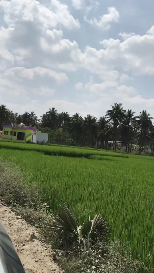 @varunvachis