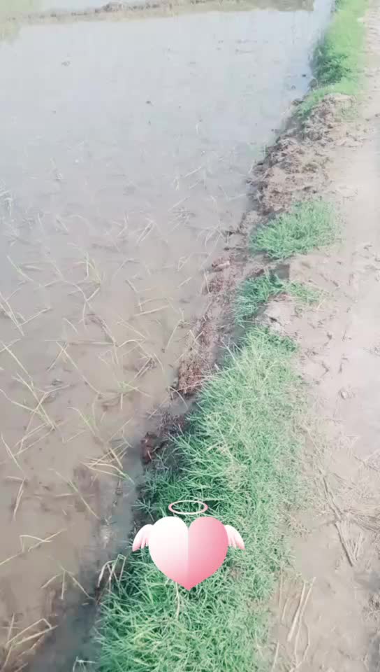 @gurjant. gill