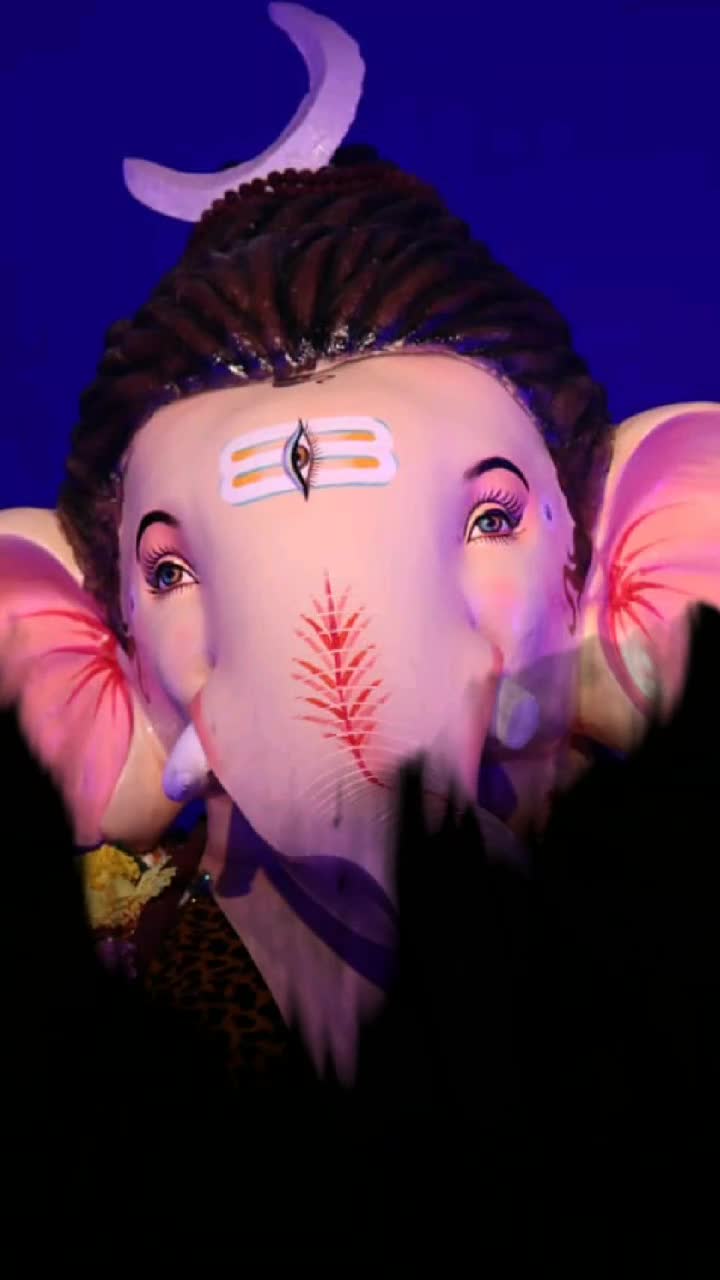 @वैभव भवर पाटिल