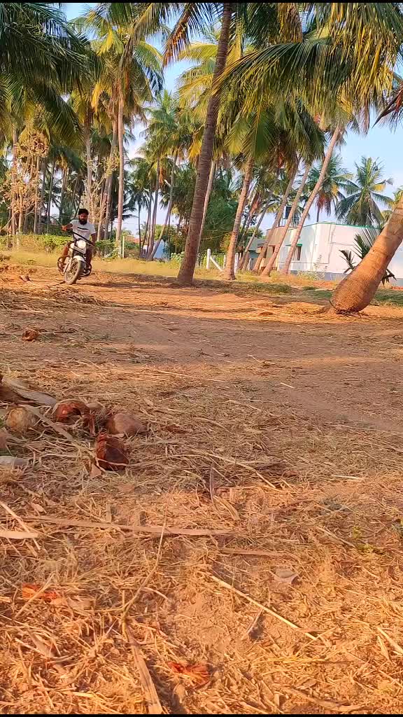 @Manoj Jill