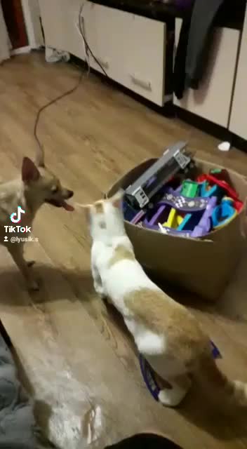 @Людмила Сюнина