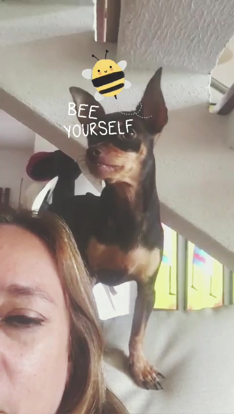 @Veennuus