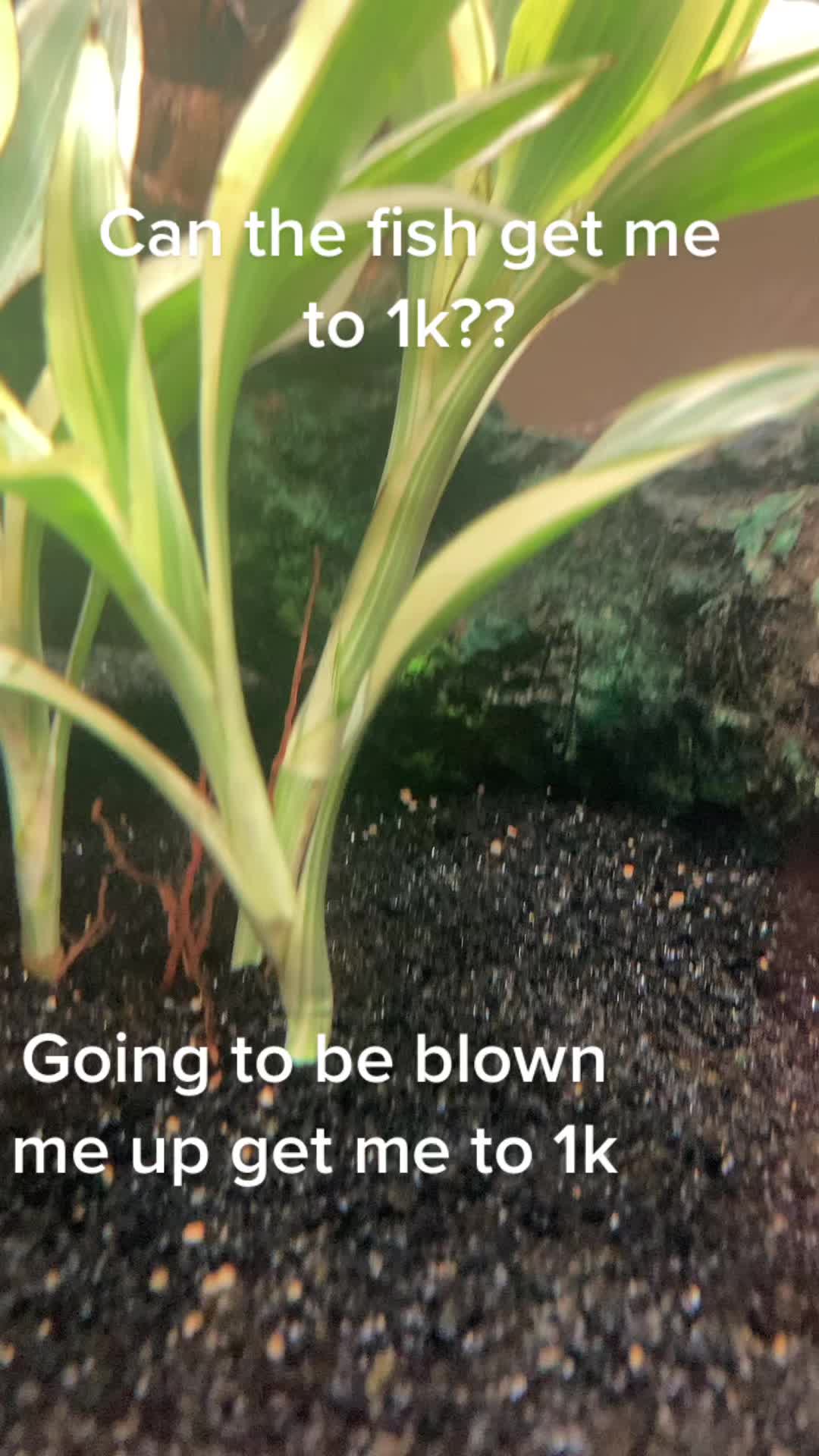 @Cade_.14vr