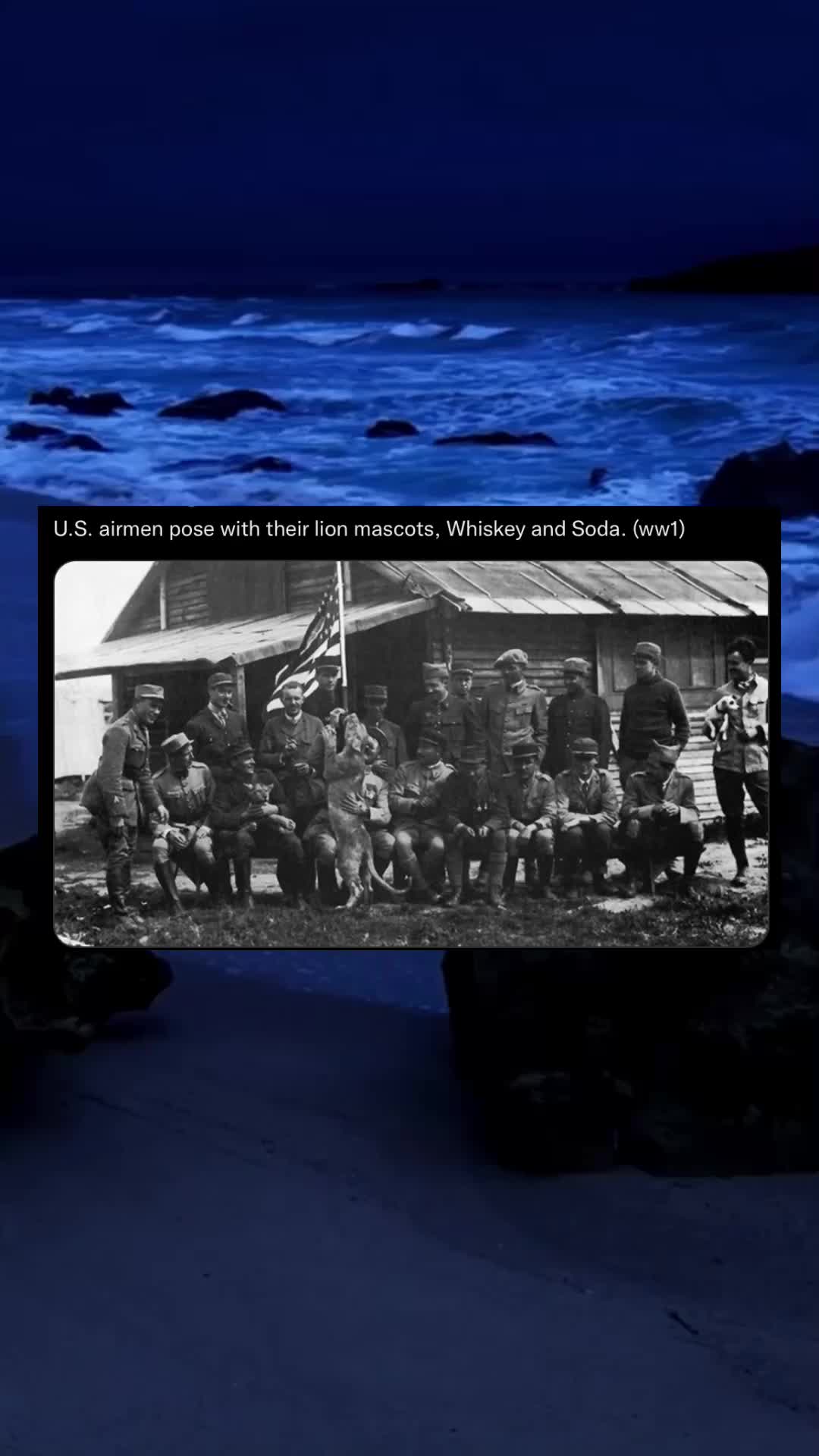 @History