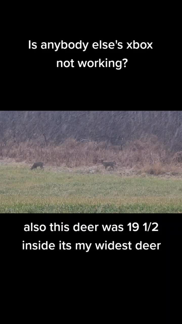 @GTAandthehuntercallofthewild