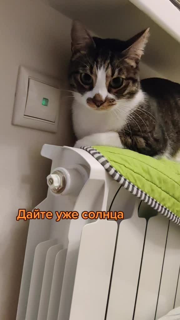 @Miki Мики
