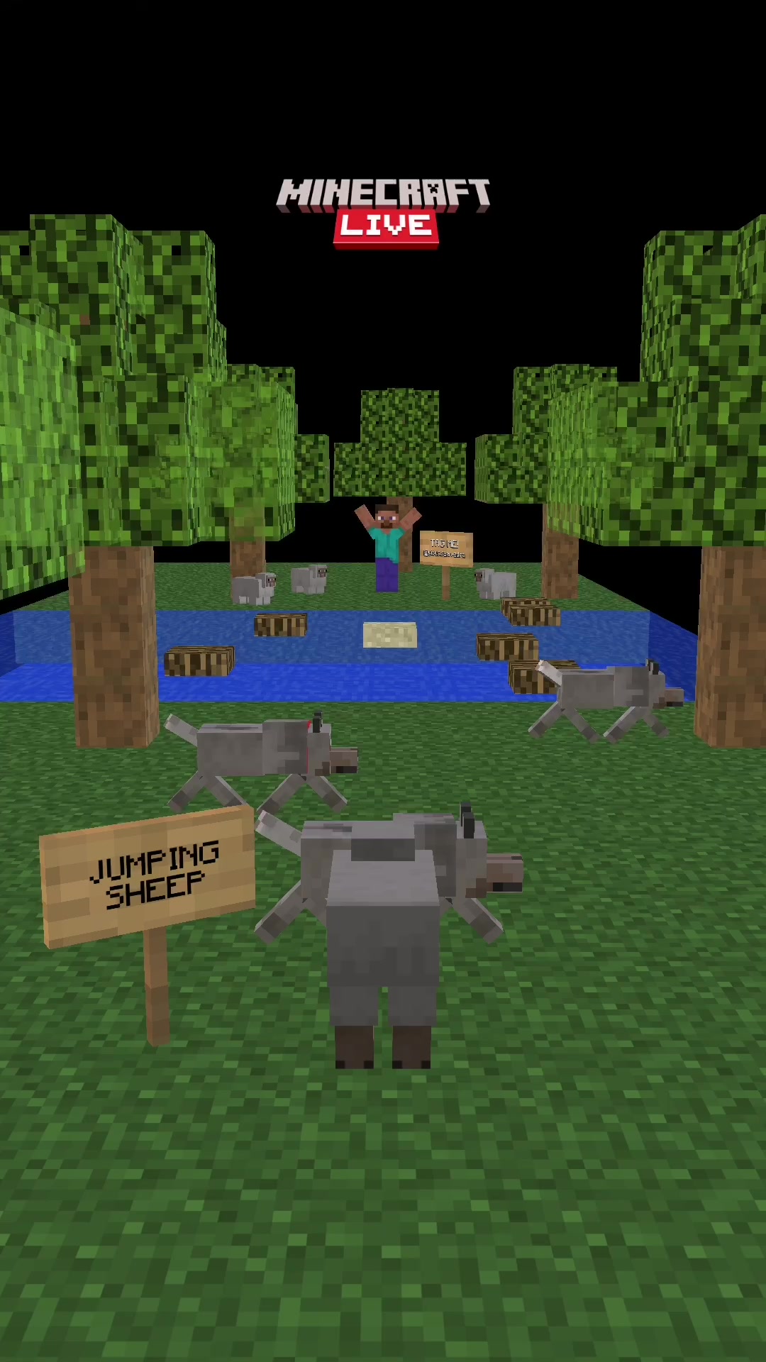@🐈&zwj;⬛aricelesthe 20🐈&zwj;⬛