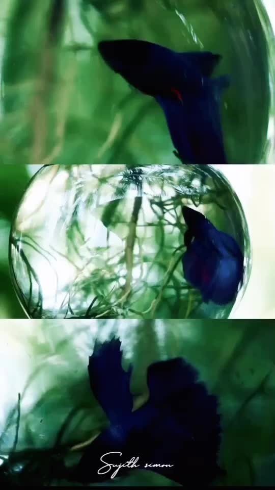@mr_390__