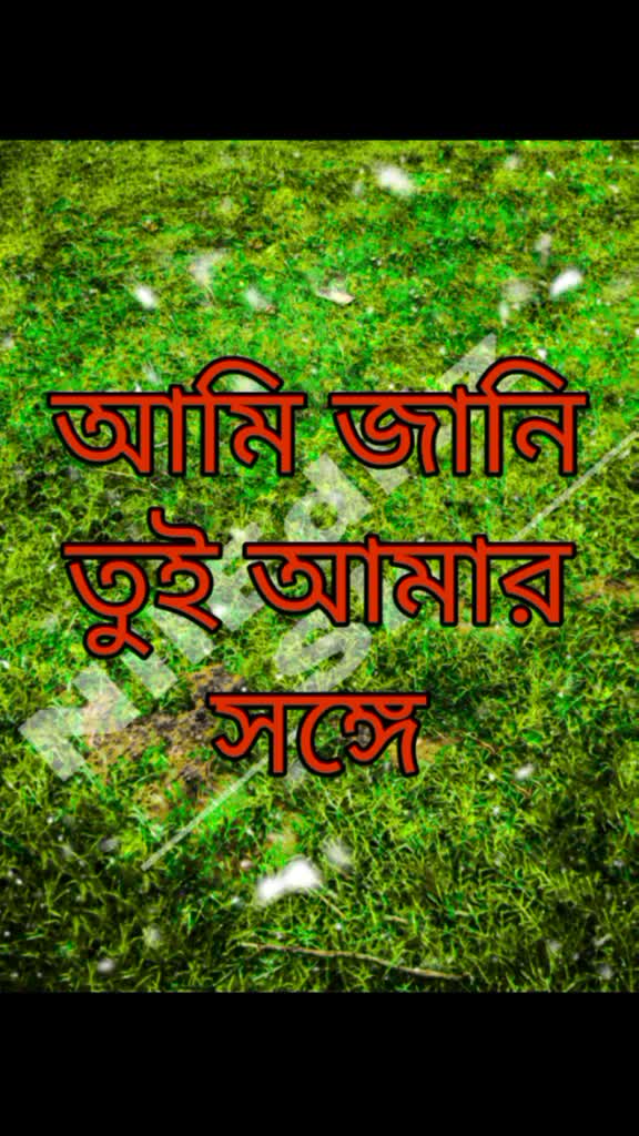 @Nil Sen