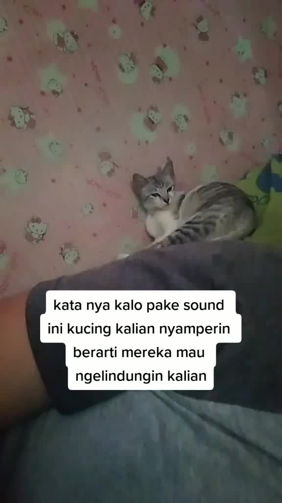 @beby all