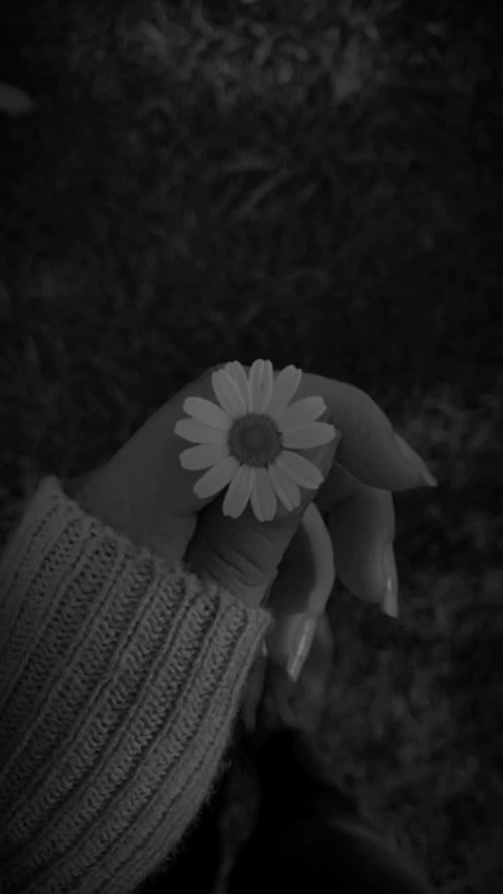 @🦋𝓚𝓮𝓵𝓮𝓫𝓮𝓴𝓶𝓲𝓼𝓪𝓵𝓲