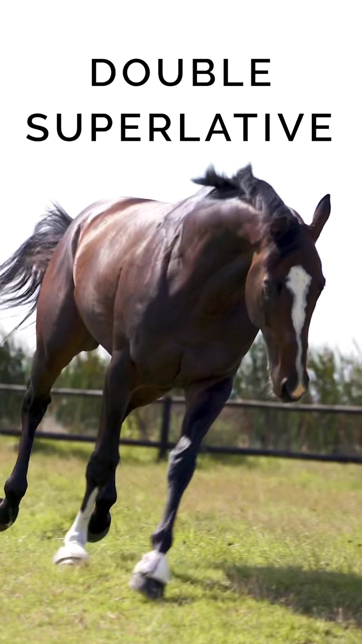 @Snaith Racing