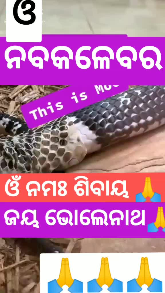 @user56476053001