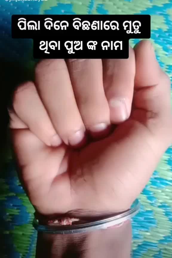 @biswajitsahoo.com