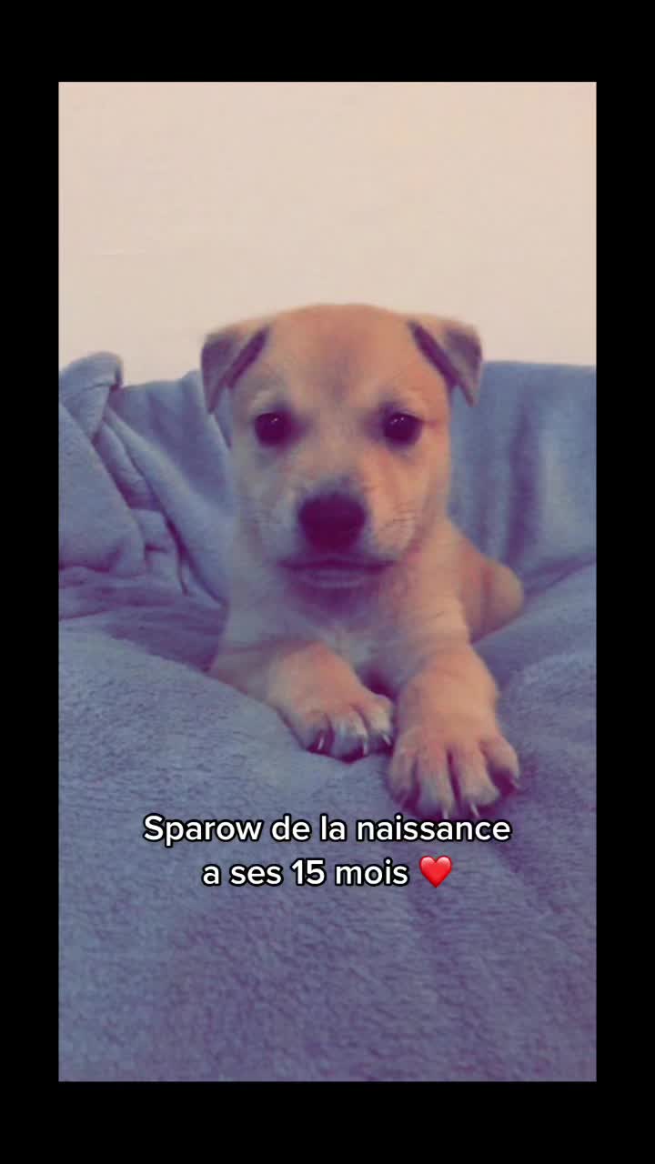 @sophie.capp
