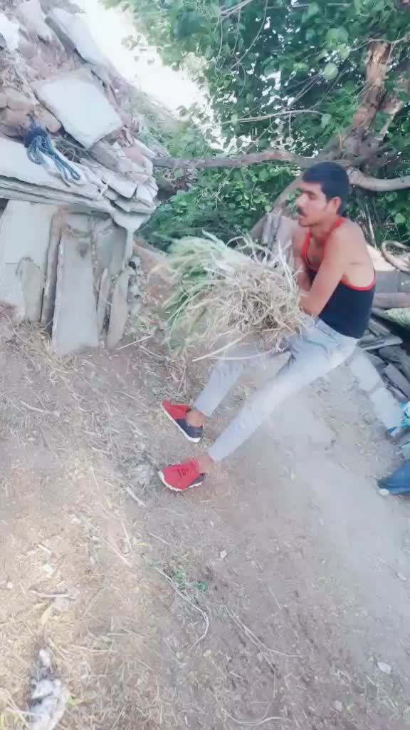 @team dholariya Veer?