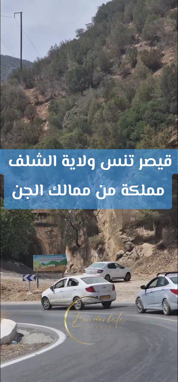 @⚓ 🇩🇿 тнє тєиєѕ&iota;єи 🇹🇳 ⚓