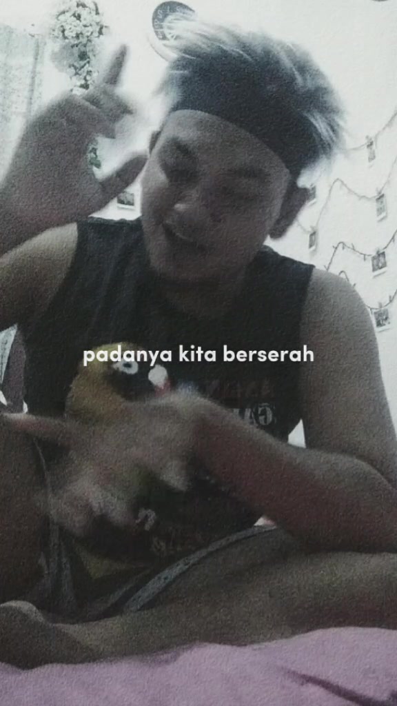 @JIDUT 🤡