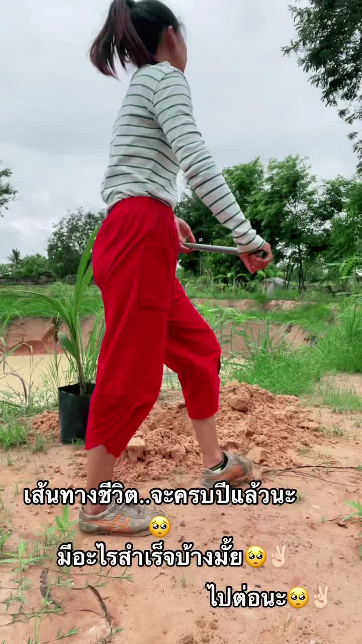 @Noongningbaba