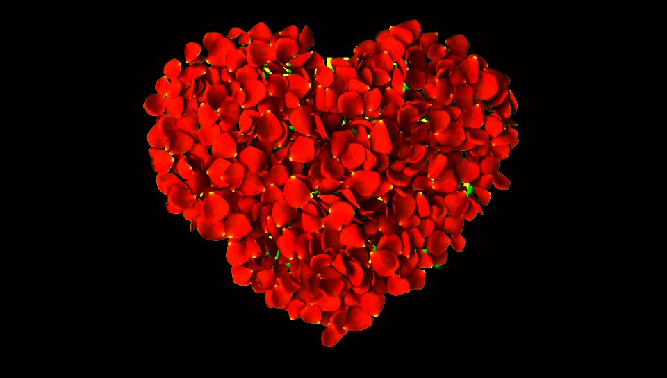 @hiran