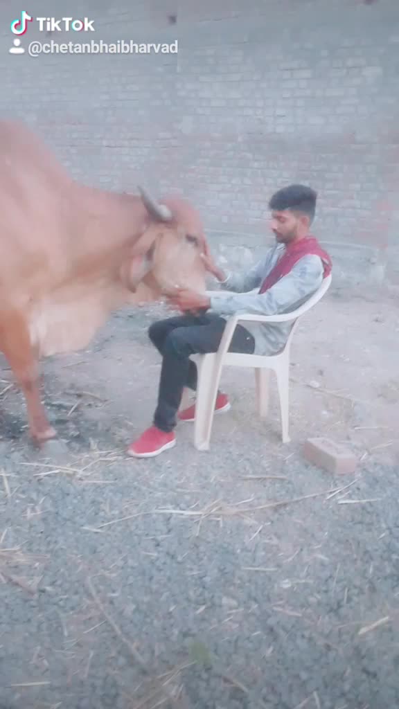@Chetan bhai Bharvad