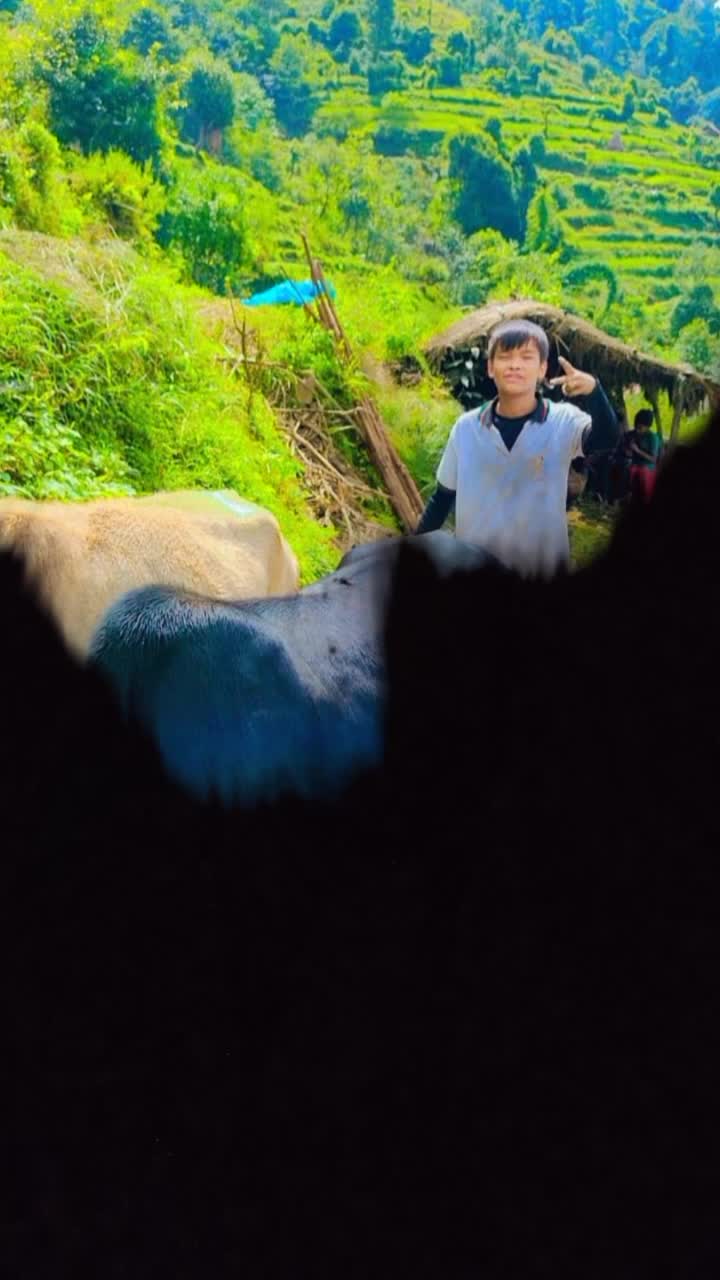 @मगर 🦋❤️🐞