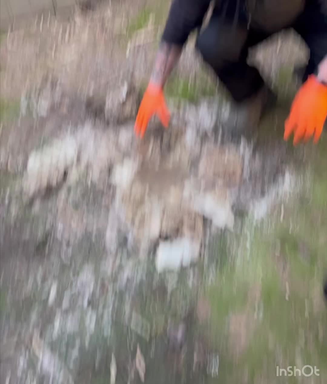 @ItsMrLogz